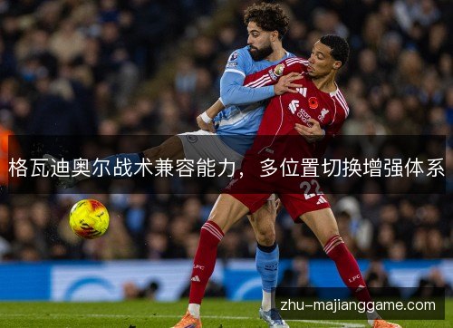 格瓦迪奥尔战术兼容能力,多位置切换增强体系 格瓦迪奥尔战术兼容能力,多位置切换增强体系